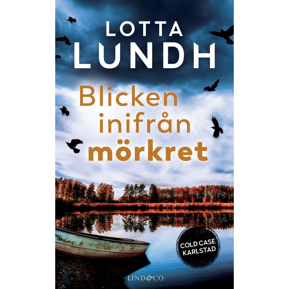 Produktbild för Blicken inifrån mörkret (pocket)