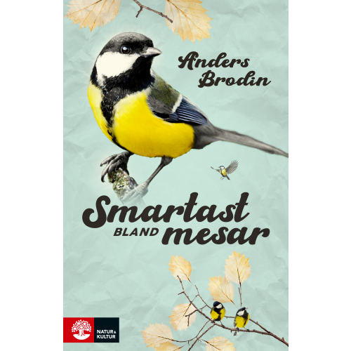 Anders Brodin Smartast bland mesar (pocket)
