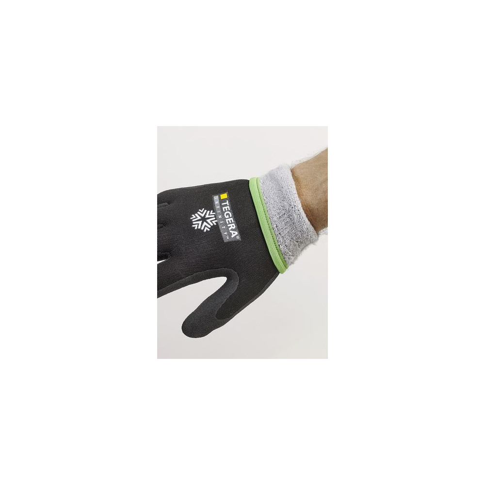 Produktbild för Vinterhandske TEGERA 8810R Infinity 10