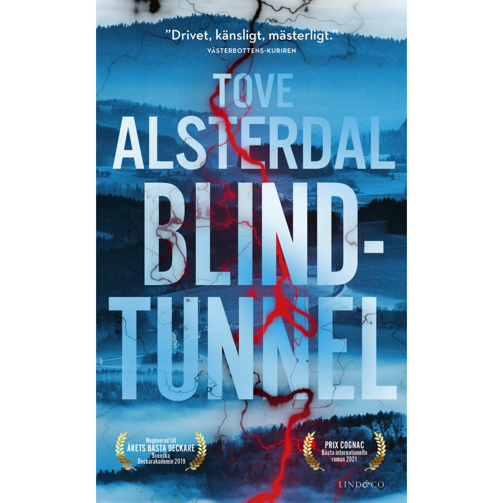 Produktbild för Blindtunnel (pocket)