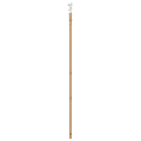 Produktbild för Skjutdörr Naturfärg 61 x 198,5 cm Massivt tallträ och glas