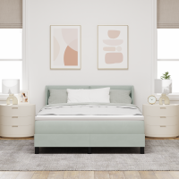 Produktbild för Bäddfjäder med huvudgavel Ljusgrå 200 x 160 cm Sammet