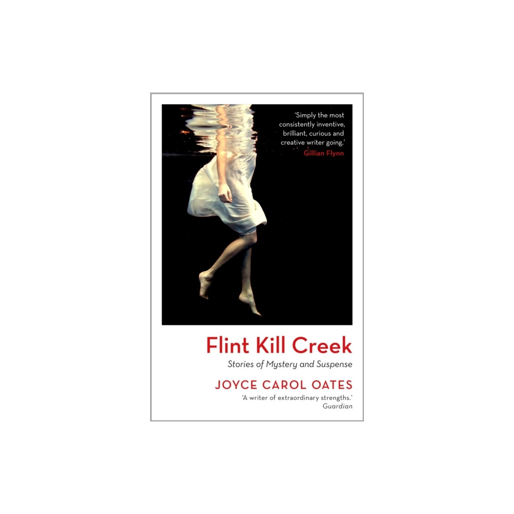 Produktbild för Flint Kill Creek (häftad, eng)