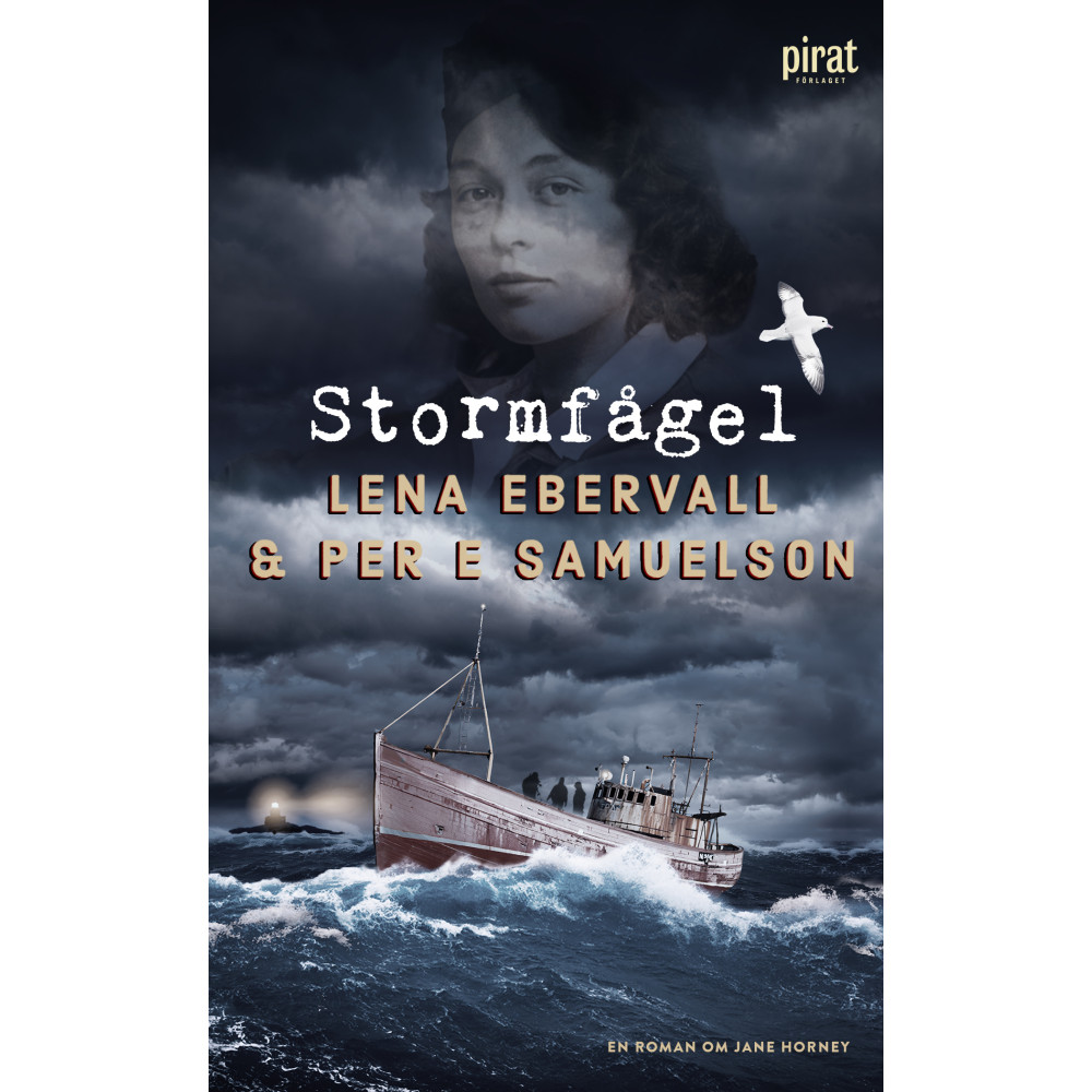 Produktbild för Stormfågel (pocket)