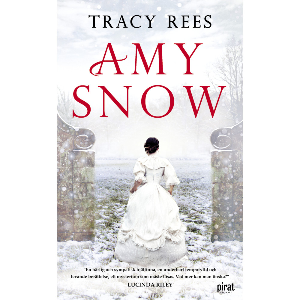 Produktbild för Amy Snow (pocket)