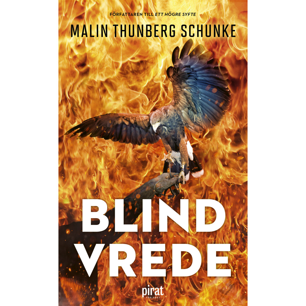 Produktbild för Blind vrede (pocket)