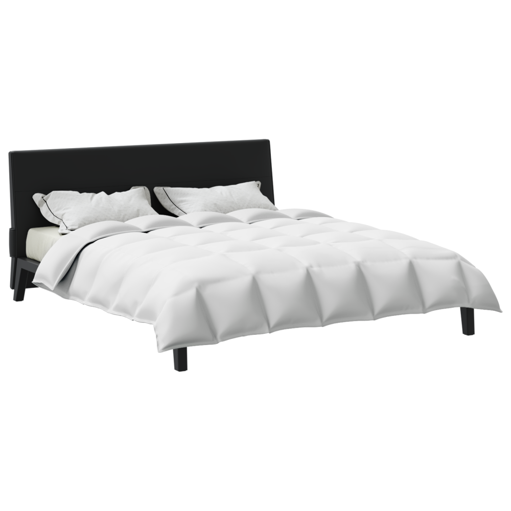 Produktbild för 2-i-1 Duntäcke Vit 200 x 220 cm Fjäder