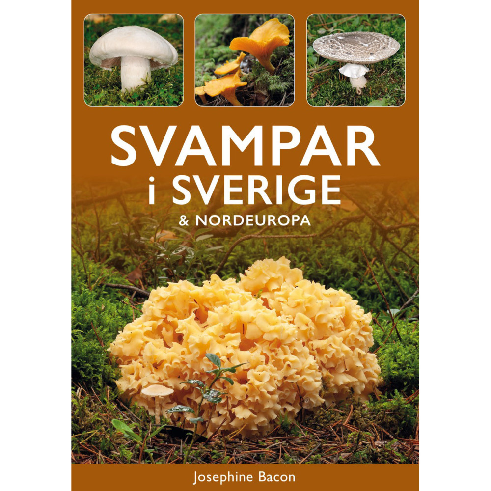 Produktbild för Svampar i Sverige & Nordeuropa
