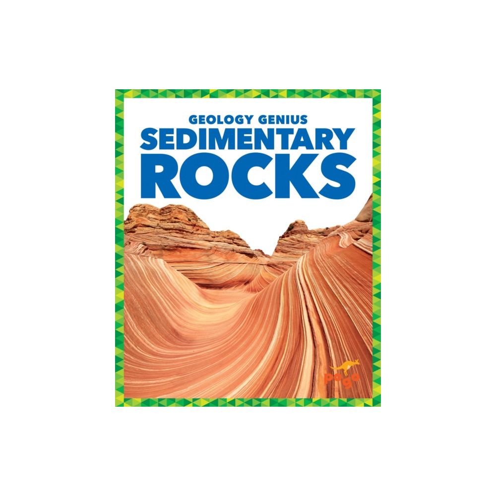 Produktbild för Sedimentary Rocks (inbunden, eng)