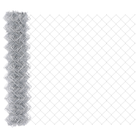 Produktbild för Utomhus kedjegjämnings staket markfäste 10 x 1 m Silver Mesh