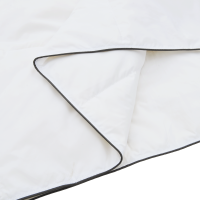 Produktbild för Vinter Täcke med kudde 2 pcs Vit Dunfjäder