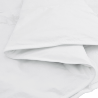 Produktbild för Vinter Täcke med kudde 2 pcs Vit Dunfjäder