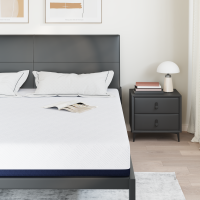 Produktbild för Madrass Vit och Blå 200 x 200 cm Jacquardtyg