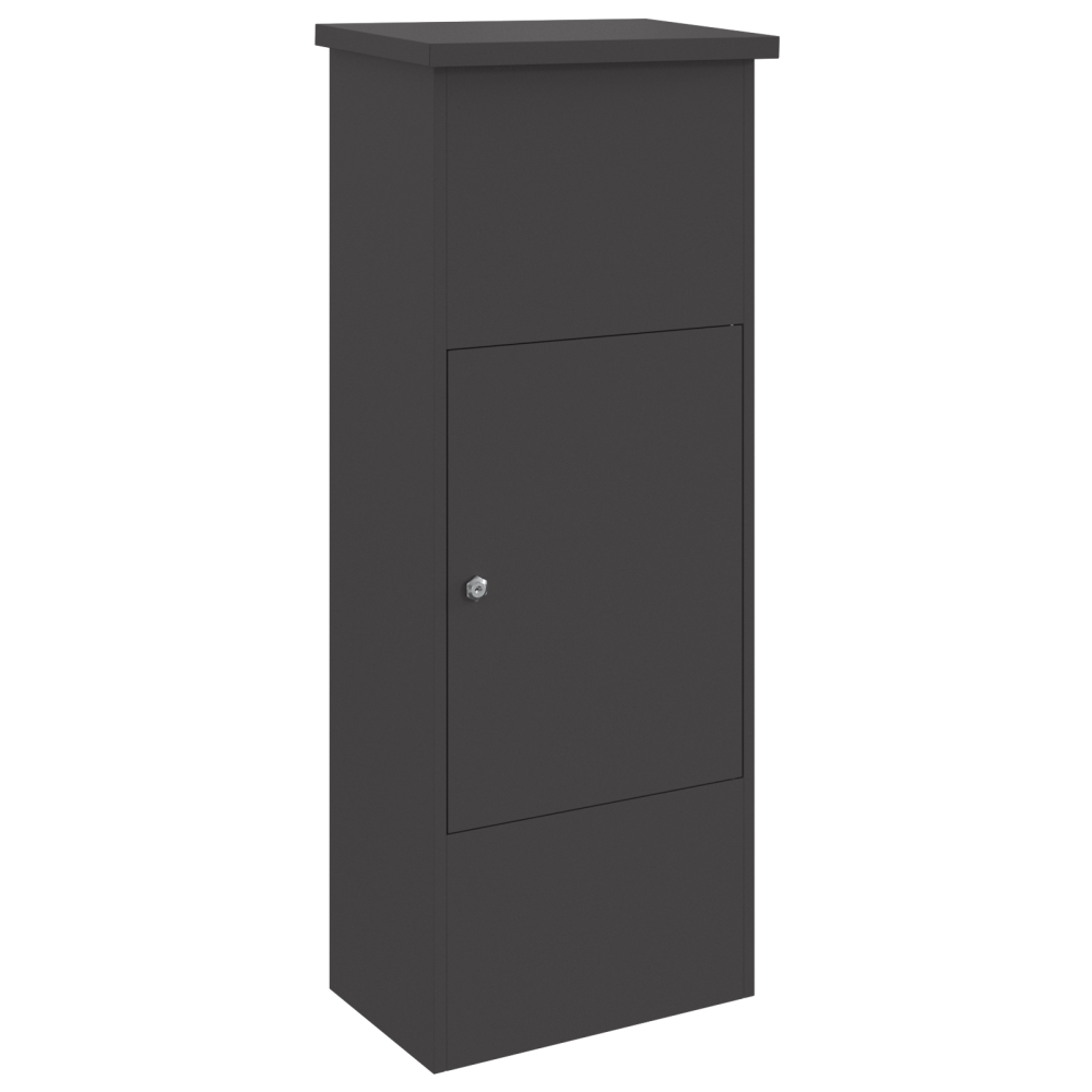 Produktbild för Paketbox med lagring med dörr Svart 44,5 x 29 x 110,5 cm Stål