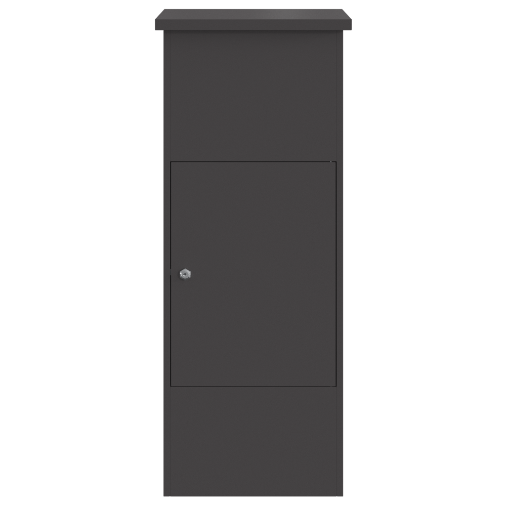 Produktbild för Paketbox med lagring med dörr Svart 44,5 x 29 x 110,5 cm Stål