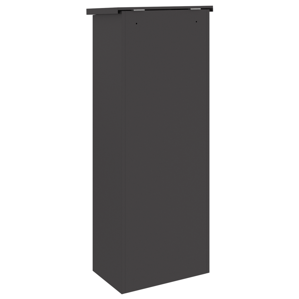 Produktbild för Paketbox med lagring med dörr Svart 44,5 x 29 x 110,5 cm Stål