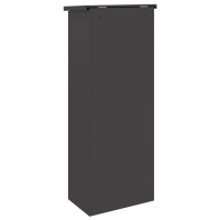 Produktbild för Paketbox med lagring med dörr Svart 44,5 x 29 x 110,5 cm Stål