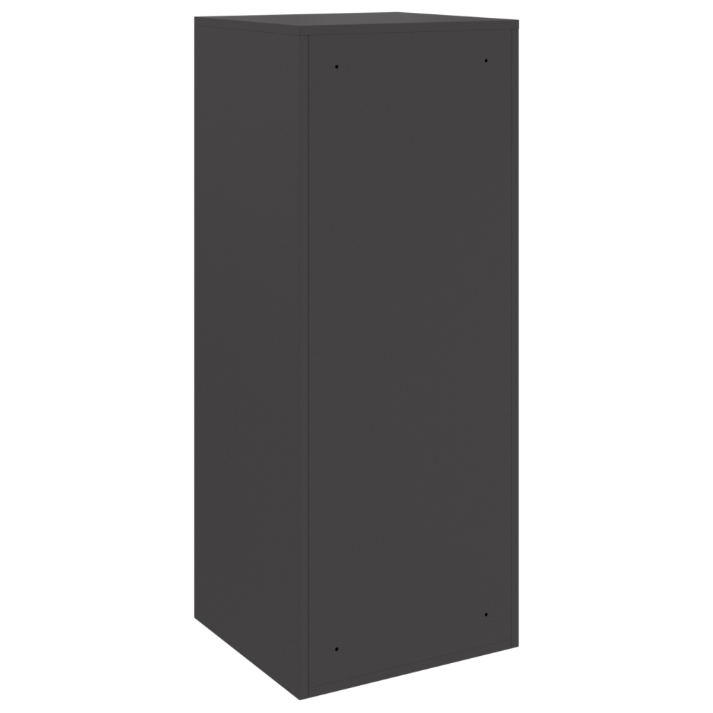 Produktbild för Paketbox med lagring med dörr Svart 41 x 38 x 103 cm Stål