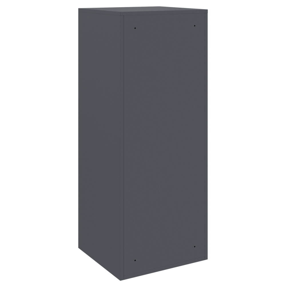 Produktbild för Paketbox med lagring med dörr Antracit 41 x 38 x 103 cm Stål
