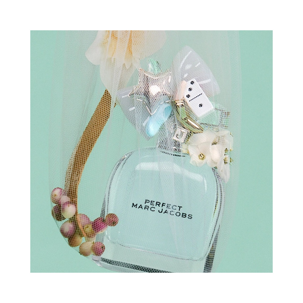 Produktbild för Perfect Edt 50ml