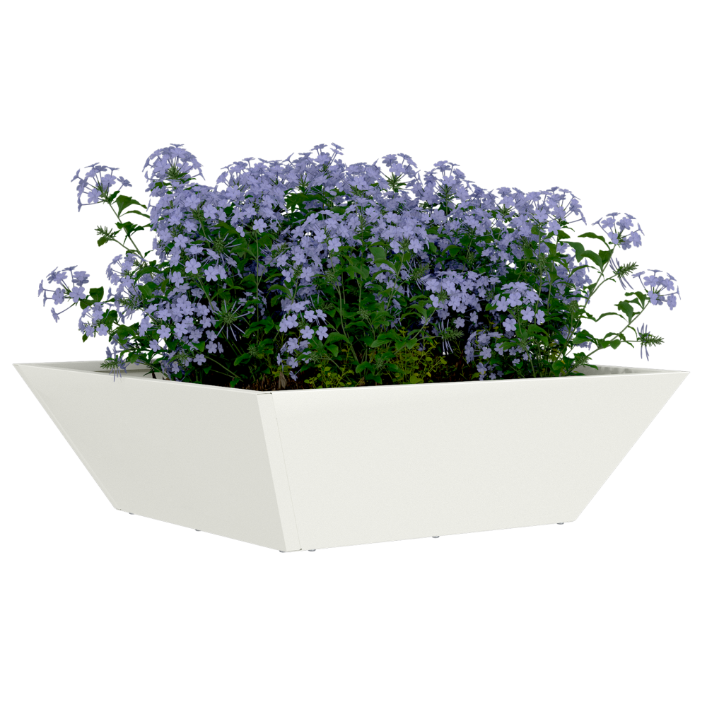 Produktbild för Trädgårdsplanterare 5 pcs Vit 50 x 50 x 15 cm Kallvalsat stål