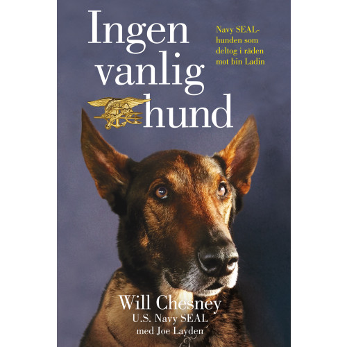 Bokförlaget NoNa Ingen vanlig hund (pocket)