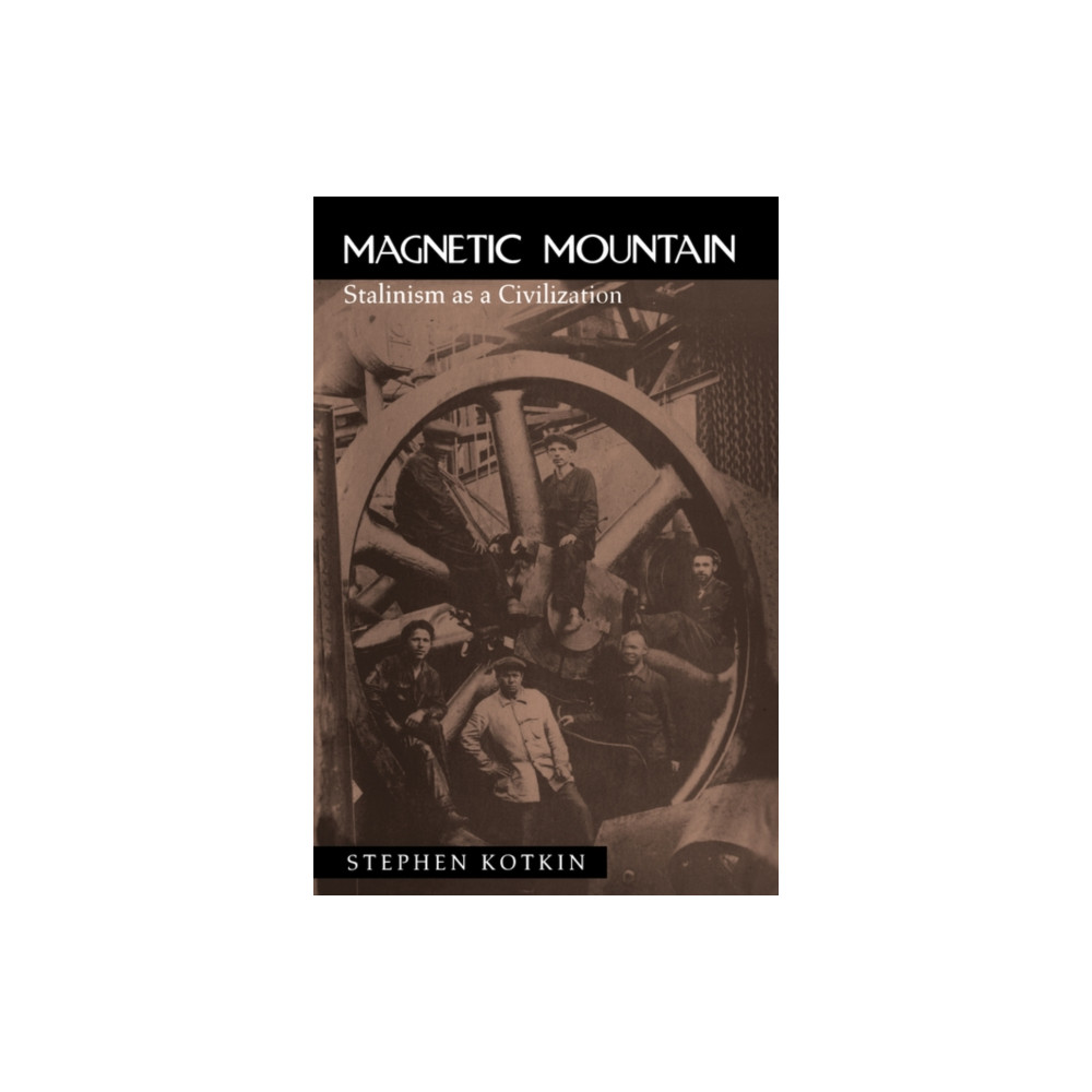 Produktbild för Magnetic Mountain (häftad, eng)