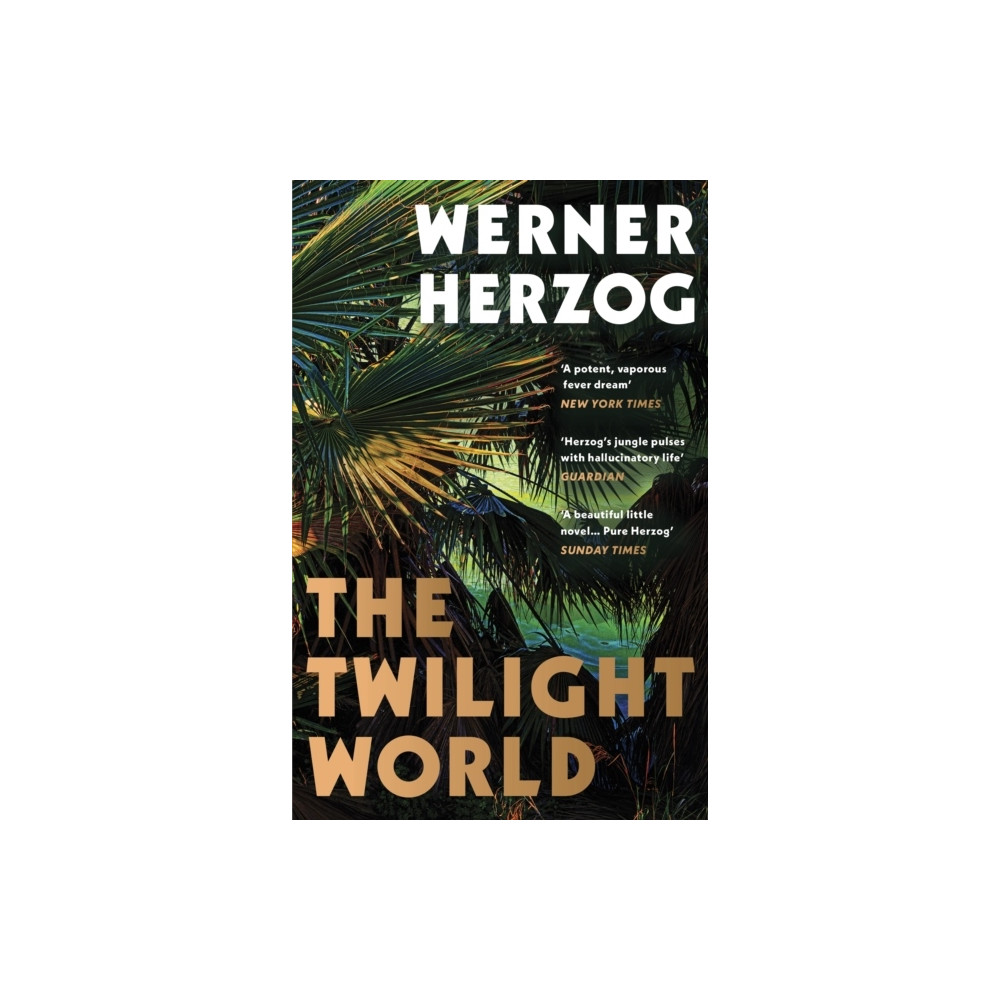Produktbild för The Twilight World (pocket, eng)