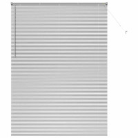 Produktbild för Persienner Silver 220 x 160 cm Aluminium