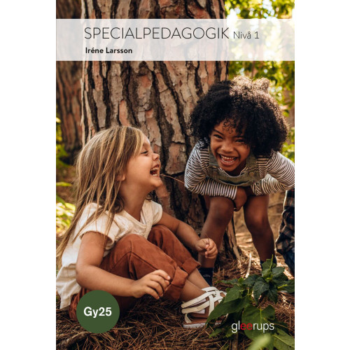 Irene Larsson Specialpedagogik 1, bok, Gy25 (häftad)