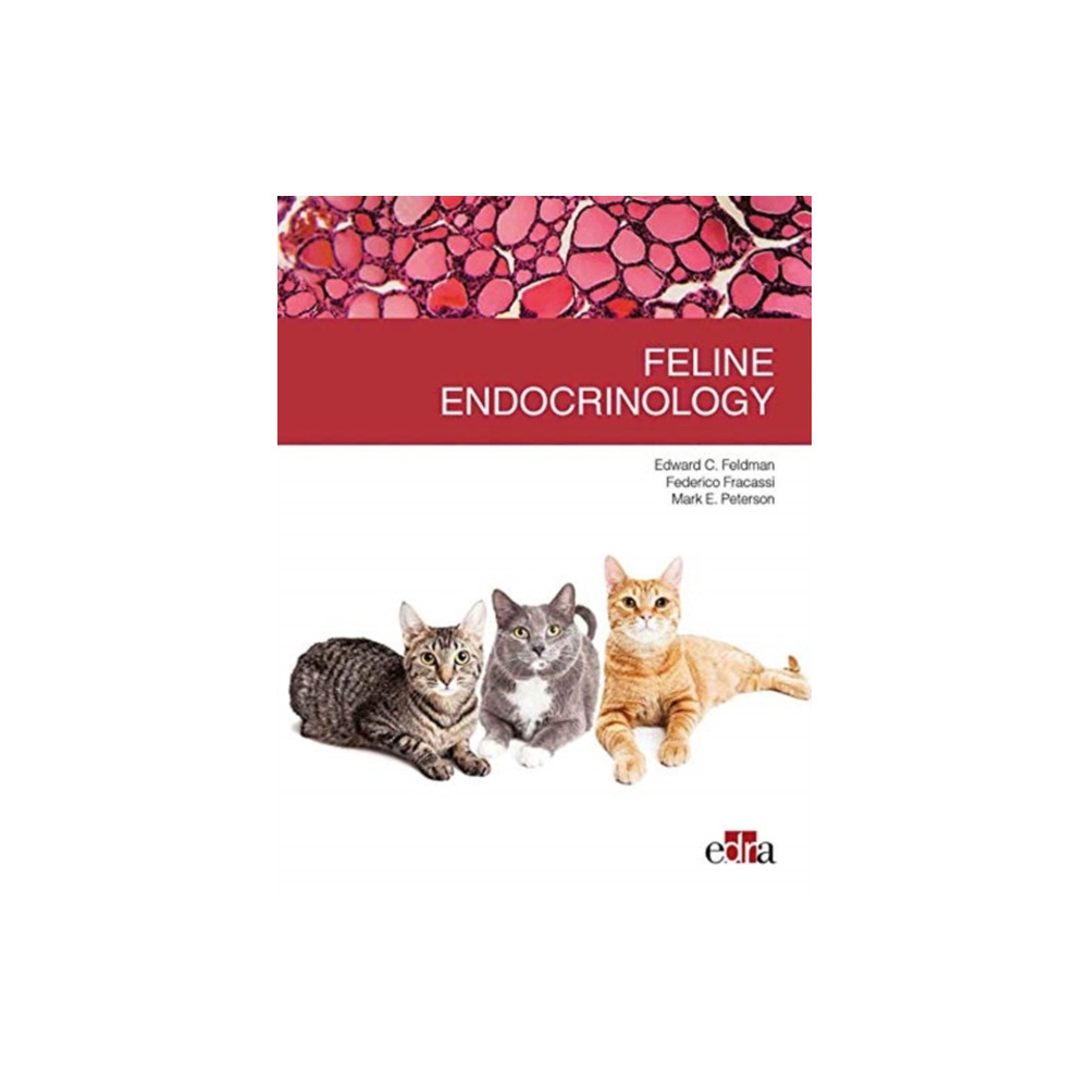 Produktbild för Feline endocrinology (häftad, eng)