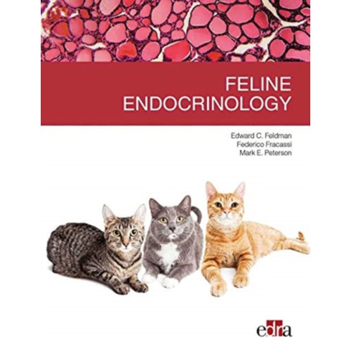 Edra Spa Feline endocrinology (häftad, eng)