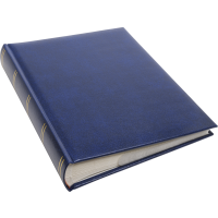 Produktbild för Focus Prestige Super 300 10x15 Blue