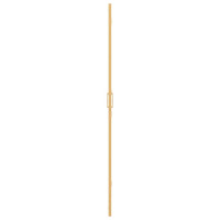 Produktbild för Walk-In duschvägg Guld 110 x 6,5 x 190 cm