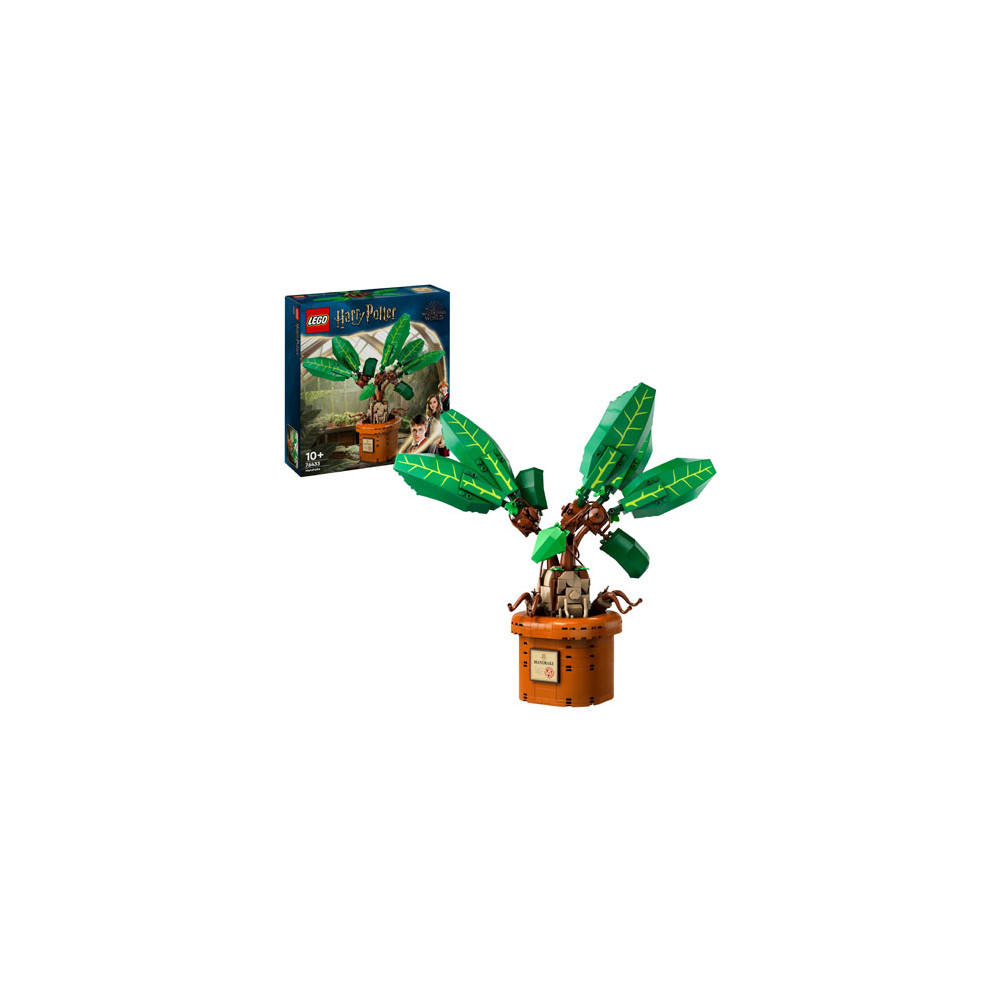 Produktbild för LEGO® Harry Potter™ 76433 Mandrake