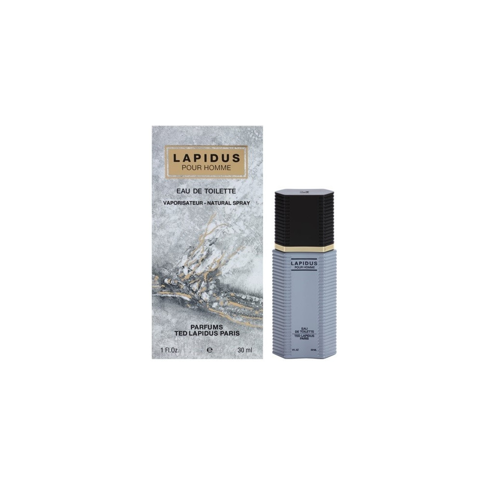 Produktbild för Ted Lapidus Pour Homme EDT M 100ml