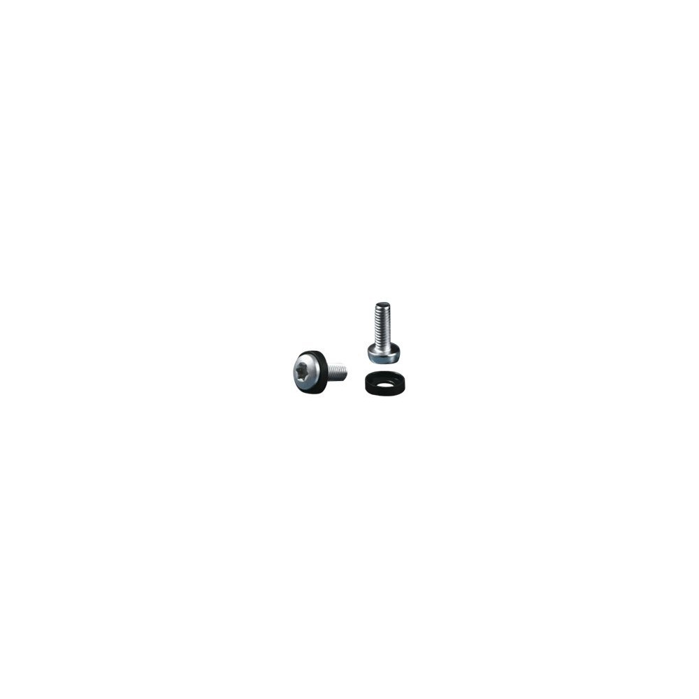 Produktbild för Rittal DK Multi-tooth screw M5x16 - rackskruvar och mellanläggsbrickor
