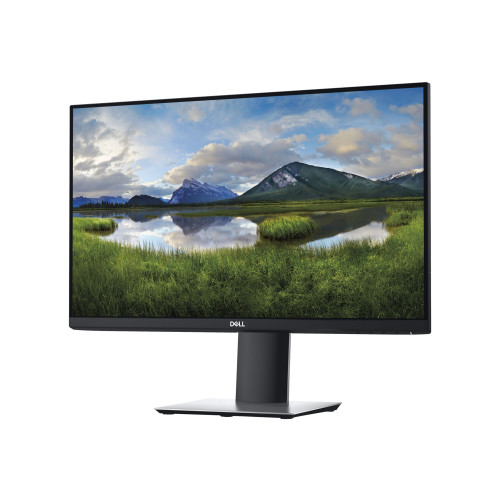 DELL Dell P2419H - LED-skärm - Full HD (1080p) - 24"