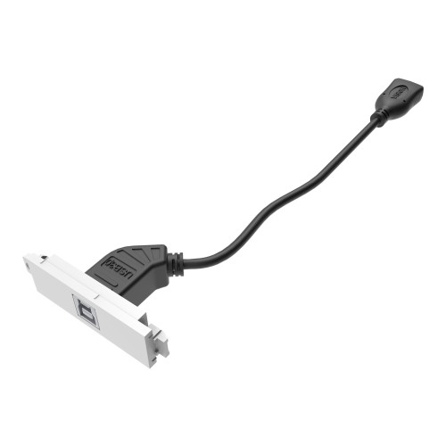 Vision VISION TechConnect 3 USB-b module - modulkontaktplatta med insnäppsfästen