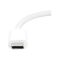 Produktbild för LogiLink - videokort - USB-C till Mini DisplayPort - 15 cm