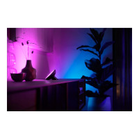 Produktbild för Philips Hue White and Color Ambiance Bloom - dekorationslampa - LED - 7.1 W - 16 miljoner färger - 2000-6500 K - svart
