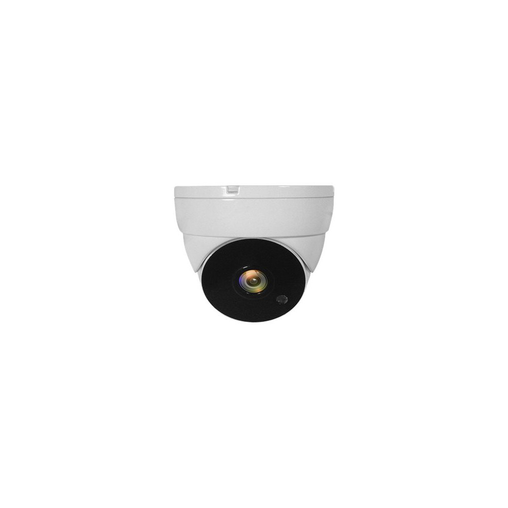 Produktbild för LevelOne ACS-5302 - övervakningskamera - kupol