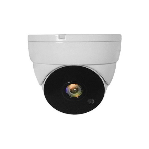 LevelOne ACS-5302 - övervakningskamera - kupol - Övervakningskameror & tillbehör