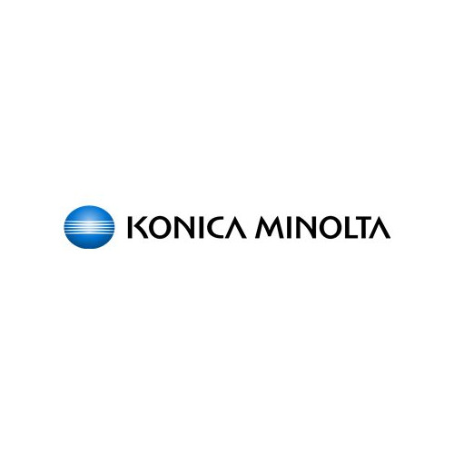 Konica Minolta Holdings Konica Minolta DV-313K - svart - original - framkallningssats