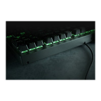 Produktbild för Razer BlackWidow V3 Tenkeyless - tangentbord - tysk Inmatningsenhet
