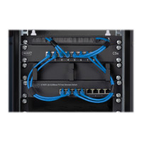 Produktbild för Digitus DN-10-09U-B - skåp - 9U
