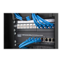 Produktbild för DIGITUS DN-10-ORG-1U-B - kabelhanteringspanel med ringar - 1U - 10"