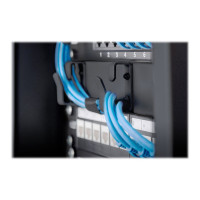 Produktbild för DIGITUS DN-10-ORG-1U-B - kabelhanteringspanel med ringar - 1U - 10"