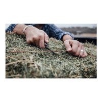 Produktbild för Leatherman Rebar - multiverktyg