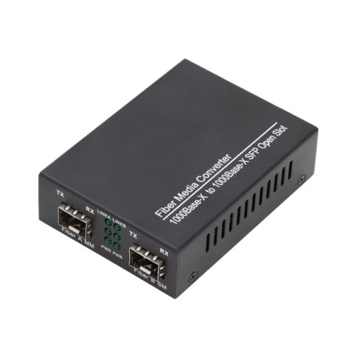 Digitus DIGITUS Professional DN-82133 - medieomvandlare - 100Mb LAN, 1GbE